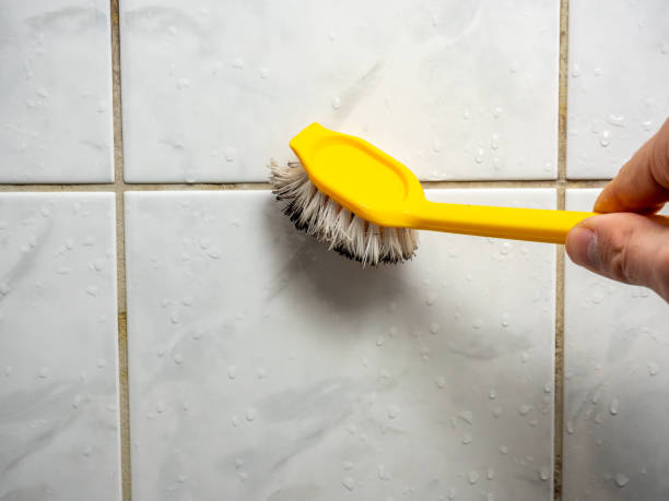 Best Professional Mold Removal  in Mathews, VA